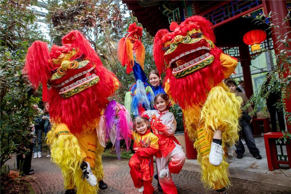 Nach dem chinesischen Kalender endete in dieser Woche das Jahr der Holzschlange und ging in das Jahr des Feuerpferdes über. Hauke-Christian Dittrich/dpa