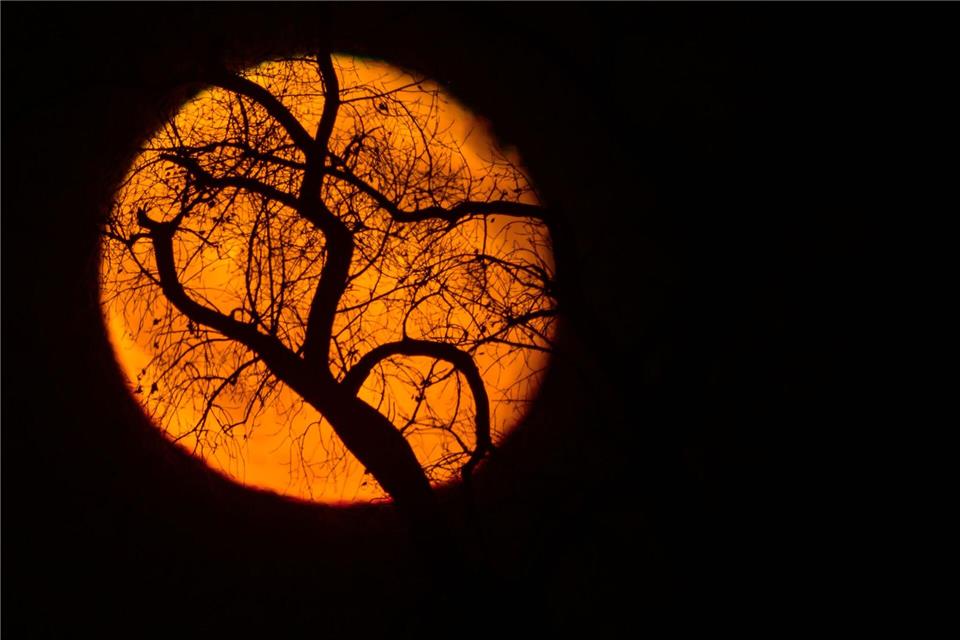 Nach dem kommenden Supermond findet der nächste in einem Jahr statt. (Archivbild)Patrick Pleul/dpa