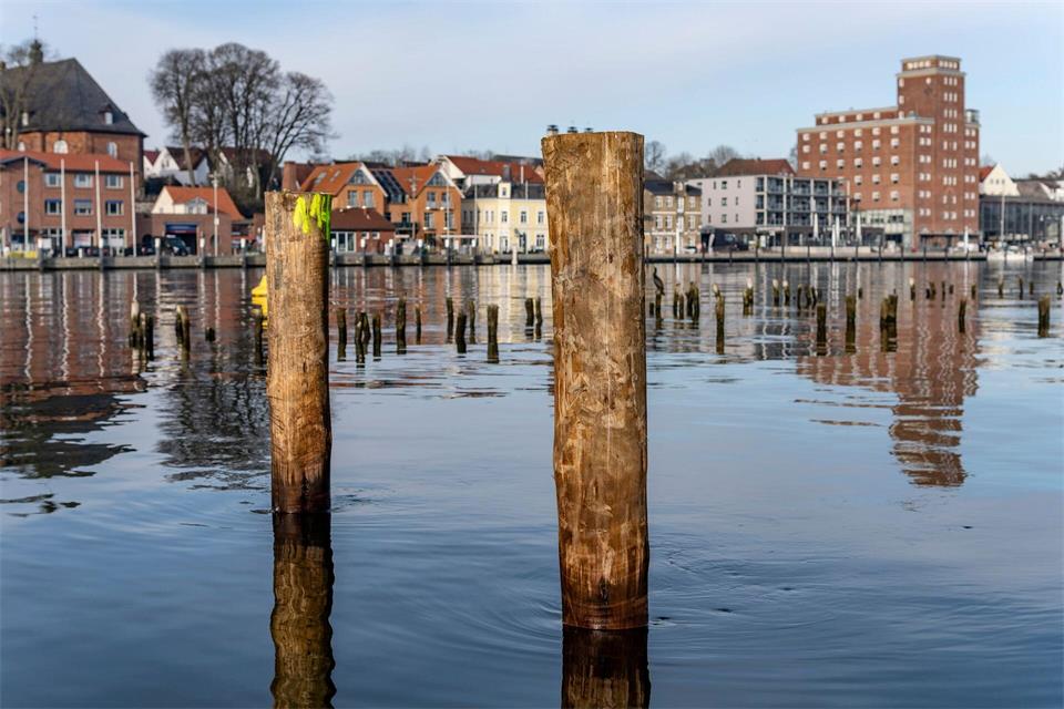 Nach den Plänen der EU-Kommission steht die Zukunft des Heringsfangs in Kappeln infrage. (Archivbild)Axel Heimken/dpa