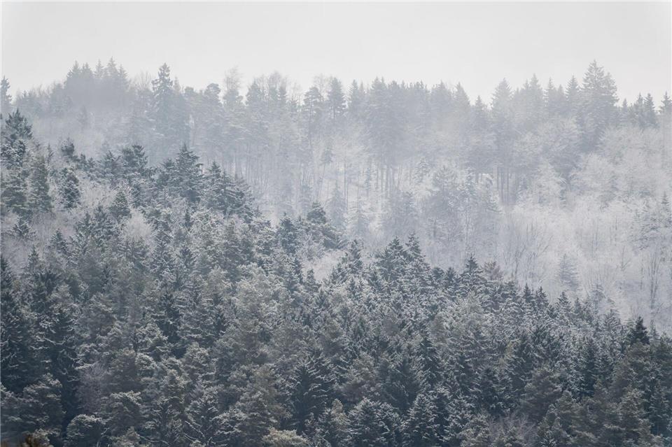 Nach den sonnigen Tagen stellt sich wieder Winterwetter ein. (Archivbild) Silas Stein/dpa
