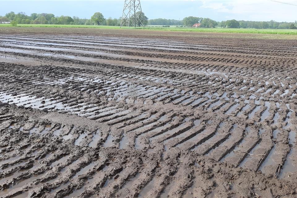Nach den starken Regenfällen im Früjhahr hat das Wasser auf der Fläche gestanden.