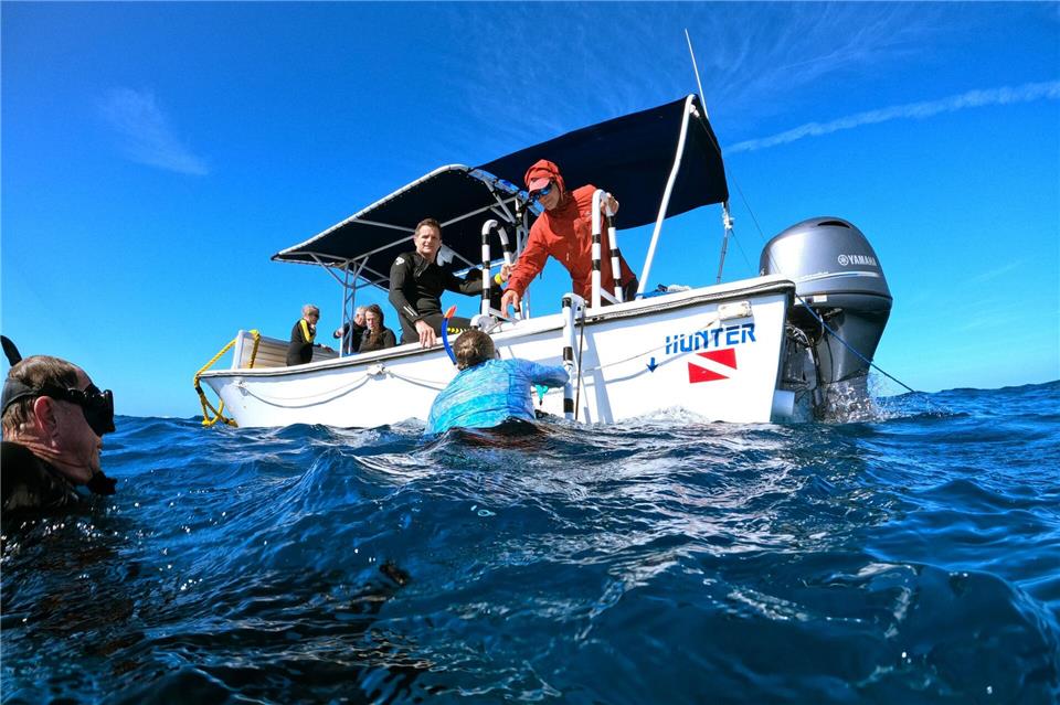 Nach der Begegnung mit den Walen geht es zurück an Bord, wo man die Begeisterung teilt.Manuel Meyer/dpa-tmn