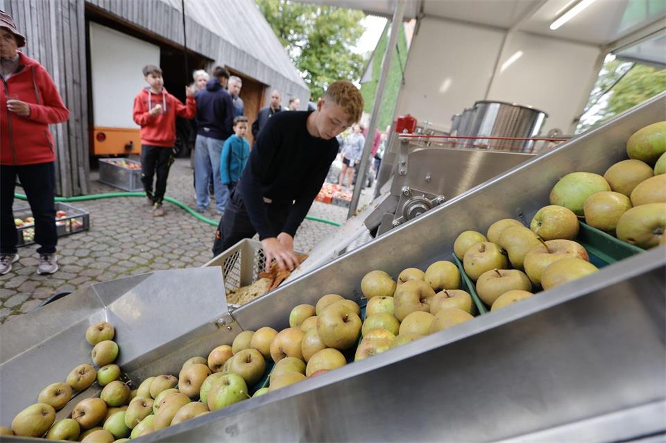 Nach der Ernte geht’s in die Presse: In der mobilen Mosterei wird regionales Obst zu Saft verarbeitet.Matthias Bein/dpa