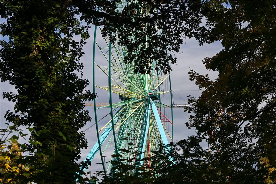 Riesenrad im Spreepark nach Sanierung wieder aufgebaut Nach der Generalüberholung erstrahlt das Riesenrad im Spreepark in neuen Farben. Jens Kalaene/dpa