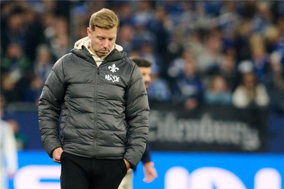 Darmstadt will Schalke aus Pokal werfen - Lidberg fit  Nach der Niederlage auf Schalke hoffen Kohfeldt und Darmstadt 98 auf eine Revanche im Pokal.Bernd Thissen/dpa