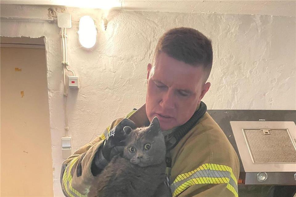 Nach der Rettung hält ein Feuerwehrmann die Katze im Arm. (Foto Handout)Feuerwehr Detmold/dpa