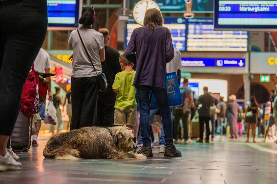Nach der Störung bei der Deutschen Bahn läuft der Zugverkehr wieder an. Viele Fahrgäste fragen sich: Was gibt es nun für Entschädigungen?Andreas Arnold/dpa/dpa-tmn