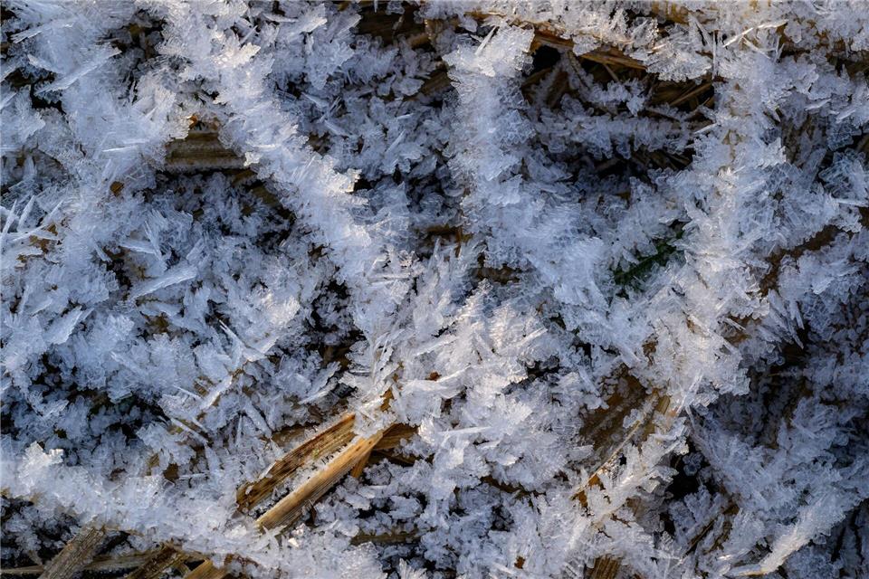 Nach der Wetterprognose des DWD wird es wolkig und es weht ein mäßiger Wind, am Montag wird es teils böig. (Symbolbild)Patrick Pleul/dpa
