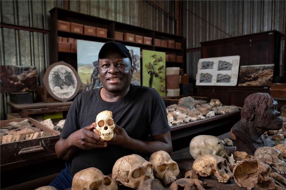 Nach der Wiedereröffnung der Sterkfontein Caves sollen Besucherinnen und Besucher einen noch direkteren Einblick in die wissenschaftliche Arbeit erhalten, die diesen Ort seit fast 100 Jahren prägt.Brett Eloff/Wits University/dpa-tmn