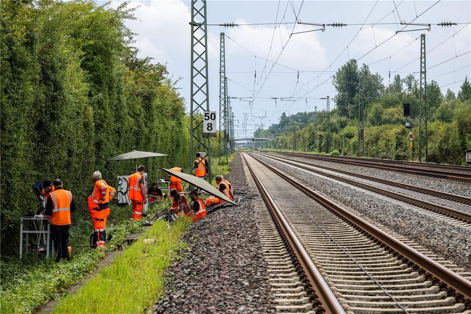 Nach einem Anschlag werden Kabel repariert. (Archivbild)Christoph Reichwein/dpa