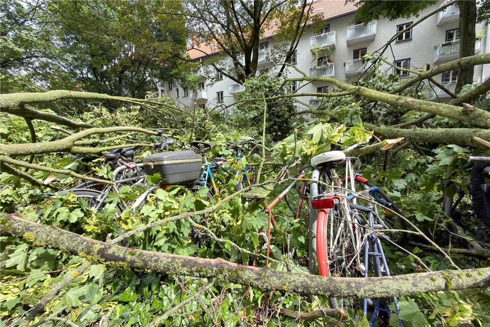 Nach einem Gewitter in Berlin musste die Feuerwehr zahlreiche Einsätze abarbeiten. Sebastian Gollnow/dpa