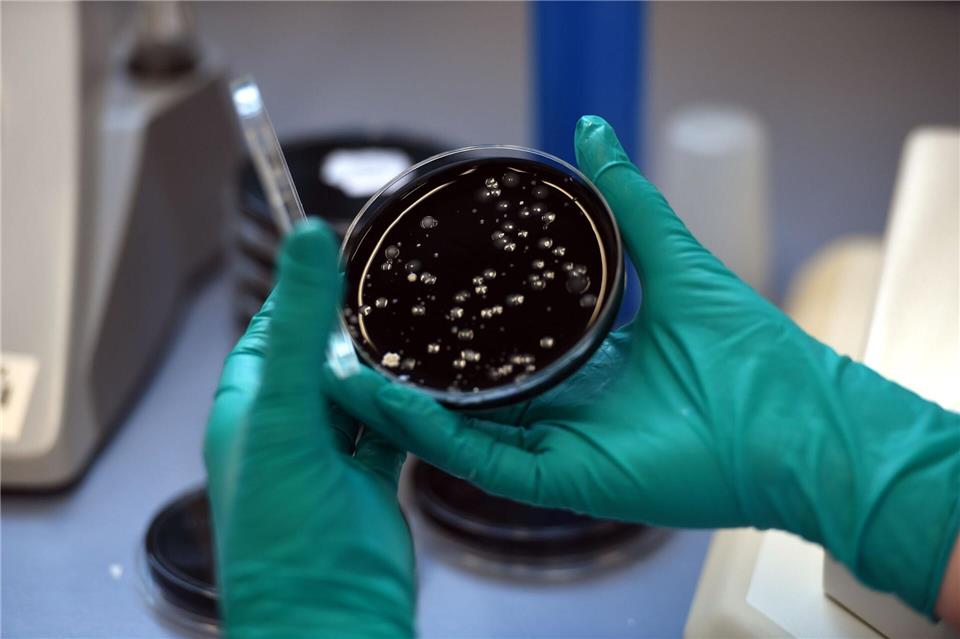 Nach einem Legionellen-Ausbruch in Ulm sind zwei Menschen gestorben. (Symbolbild) picture alliance / dpa