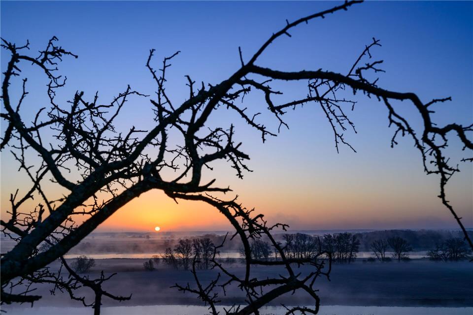 Nach einem grauen Start ins Wochenende zeigt sich am Sonntag in Berlin und Brandenburg wieder häufiger die Sonne.Patrick Pleul/dpa