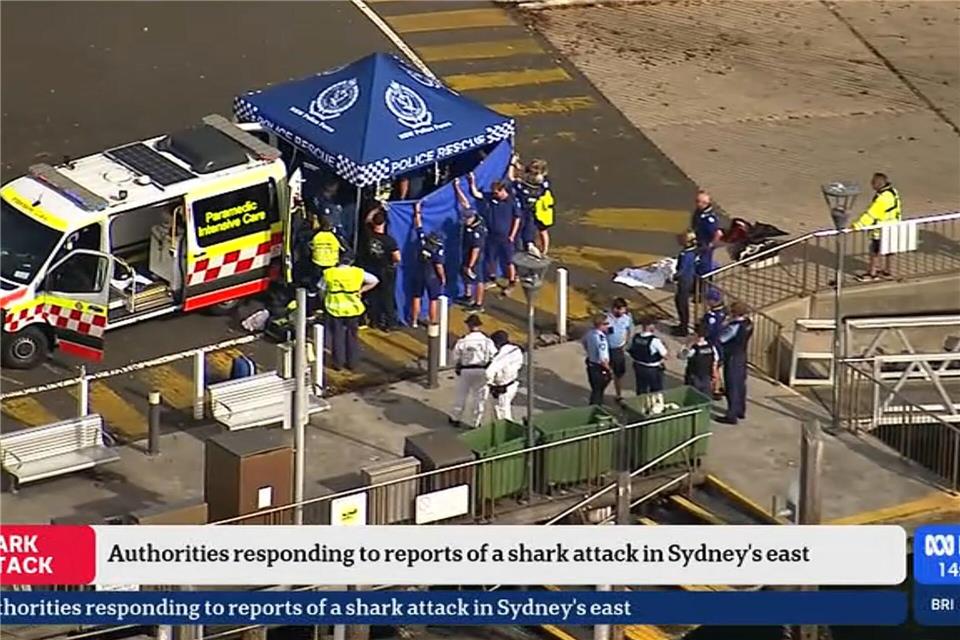 Nach einem mutmaßlichen Haiangriff ist ein Junge in kritischem Zustand.Supplied/AUSTRALIAN BROADCASTING CORPORATION (ABC) via AAP Image/dpa