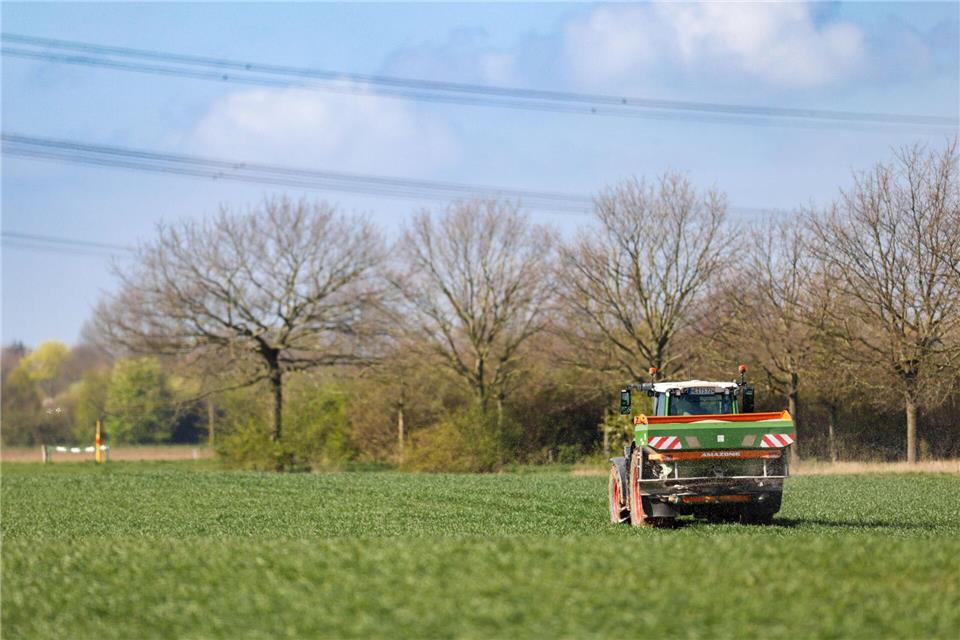 Nach einem oft bewölkten Wochenende kommt am Montag die Sonne heraus. (Archivbild)Christoph Reichwein/dpa
