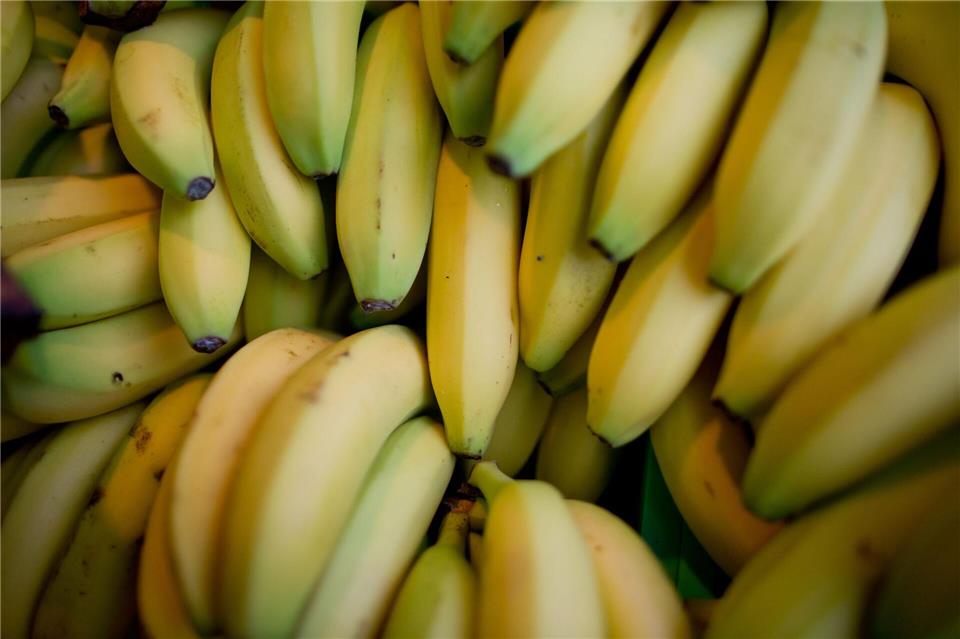 Nach einer Beschwerde beim Discounter Aldi haben Bananenarbeiter in Costa Rica Entschädigungszahlungen erhalten. (Symbolbild) Daniel Karmann/dpa