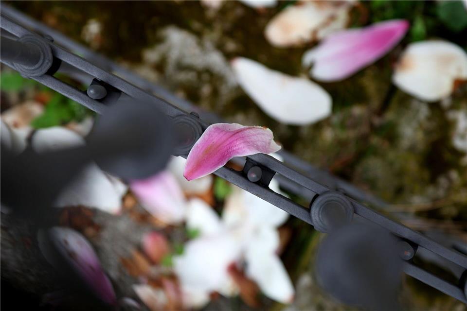 Nach einer frühlingshaften ersten Aprilwoche macht sich Regen breit.Karl-Josef Hildenbrand/dpa