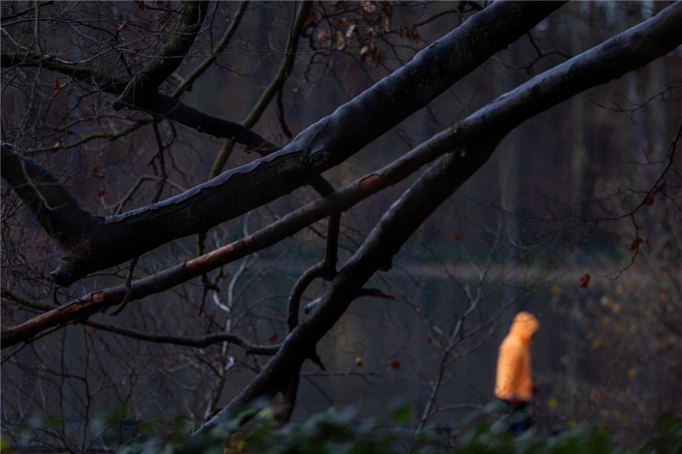 Nach eisigen Tagen könnte es in dieser Woche etwas wärmer werden. (Symbolbild)Rolf Vennenbernd/dpa