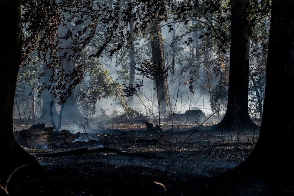 Nach ersten Schätzungen soll eine Waldfläche von mehreren tausend Quadratmetern betroffen gewesen sein.Andreas Arnold/dpa