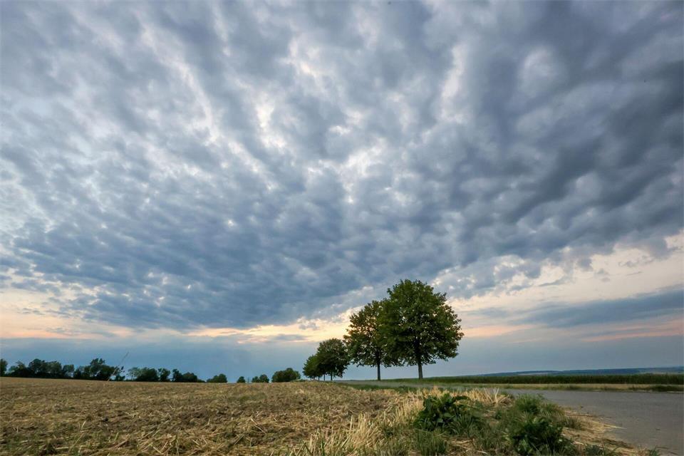 Nach langer Trockenheit kann ein bisschen Regen nicht viel bewirken. (Archivbild) Thomas Warnack/dpa