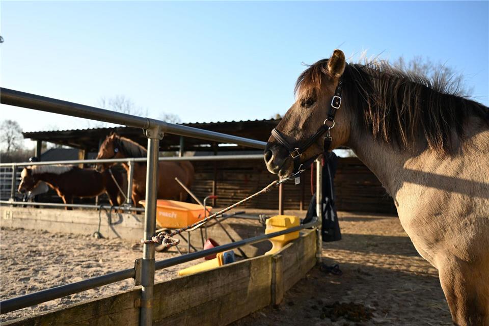 Nach monatelanger Suche wollte der Verein einen Radlader kaufen – doch das Angebot war ein Betrug. Markus Lenhardt/dpa
