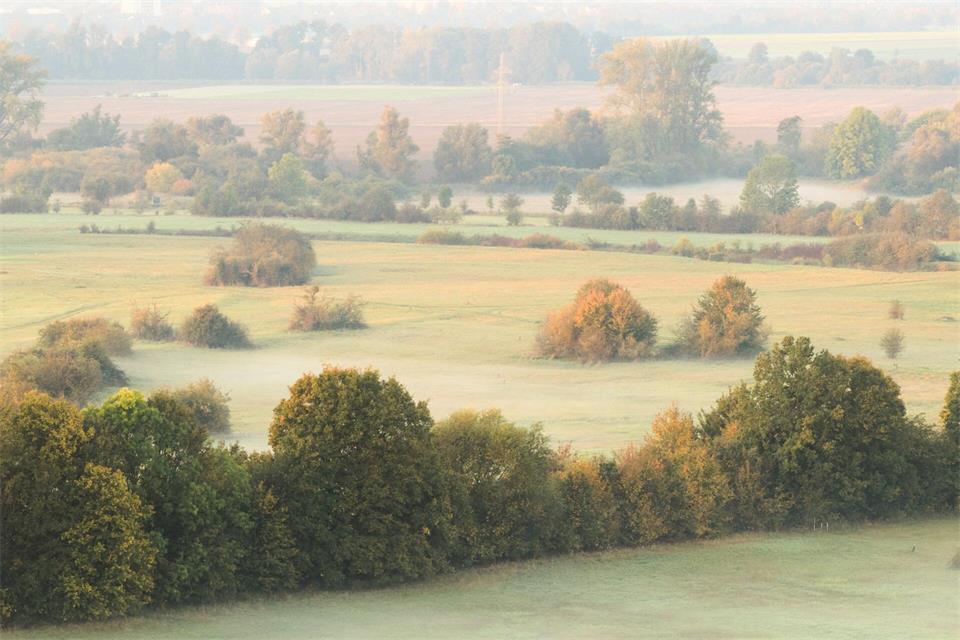 Nach nebligem Auftakt bringt der Dienstag Wind und Schauer, ehe sich der Herbst bis zur Wochenmitte von seiner milden Seite zeigt. (Symbolbild)Julian Stratenschulte/dpa