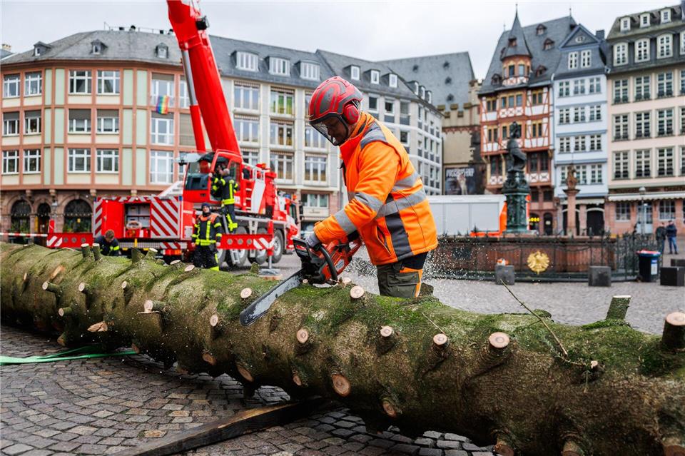 Nach seinem stimmungsvollen Gastspiel auf dem Frankfurter Weihnachtsmarkt ist der Weihnachtsbaum „Frau Holle“ zerlegt worden. Jetzt sollen Kugeln für ein Bingo-Spiel aus seinem Holz werden. Lando Hass/dpa