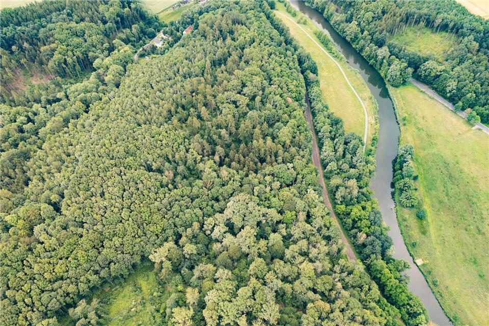Nach tagelanger Suche wurde in einem Waldstück die Leiche einer Neunjährigen gefunden. (Archivbild)Robert Michael/dpa