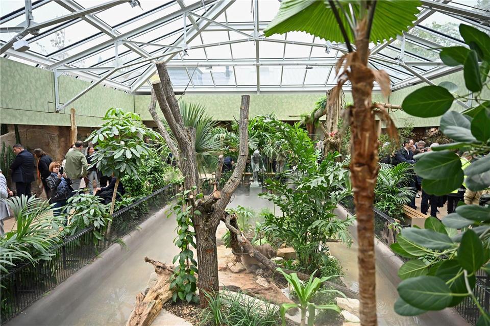 Nach umfangreicher Sanierung öffnet das Terrarium im Leipziger Zoo wieder für Gäste.Jennifer Brückner/dpa