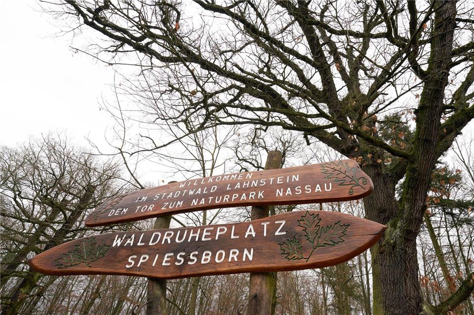 Nachdem der Kinderheilwald bereits vor zwei Jahren an den Start gegangen ist, konnte nun auch der Kur- und Heilwald für Erwachsene fertiggestellt werden. (Archivbild)Thomas Frey/dpa
