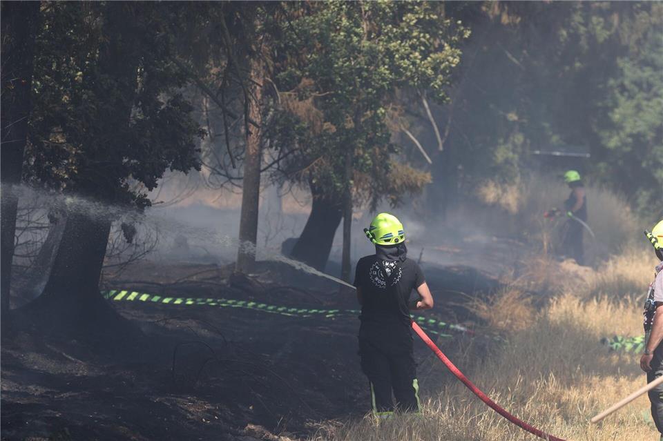 Nachdem schon ein angrenzendes Feld brannte, griff das Feuer auch auf den Wald über. (Symbolbild)Bodo Schackow/dpa