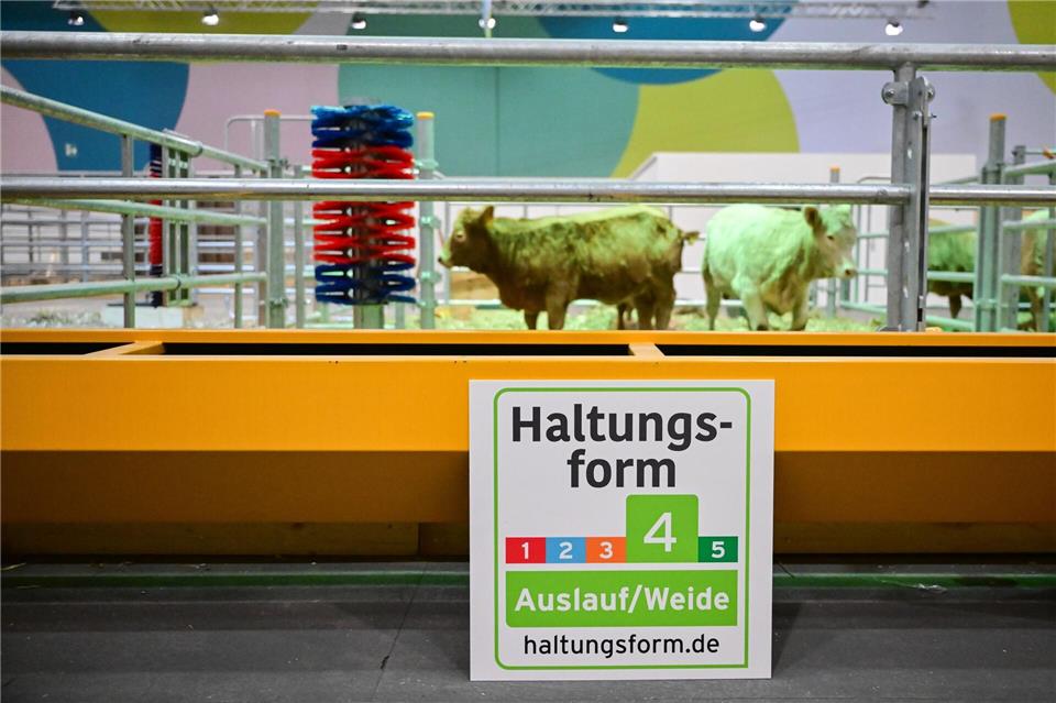 Nachhaltigere Tierhaltungsformen sind ebenfalls Thema auf der Grünen Woche. Sebastian Christoph Gollnow/dpa