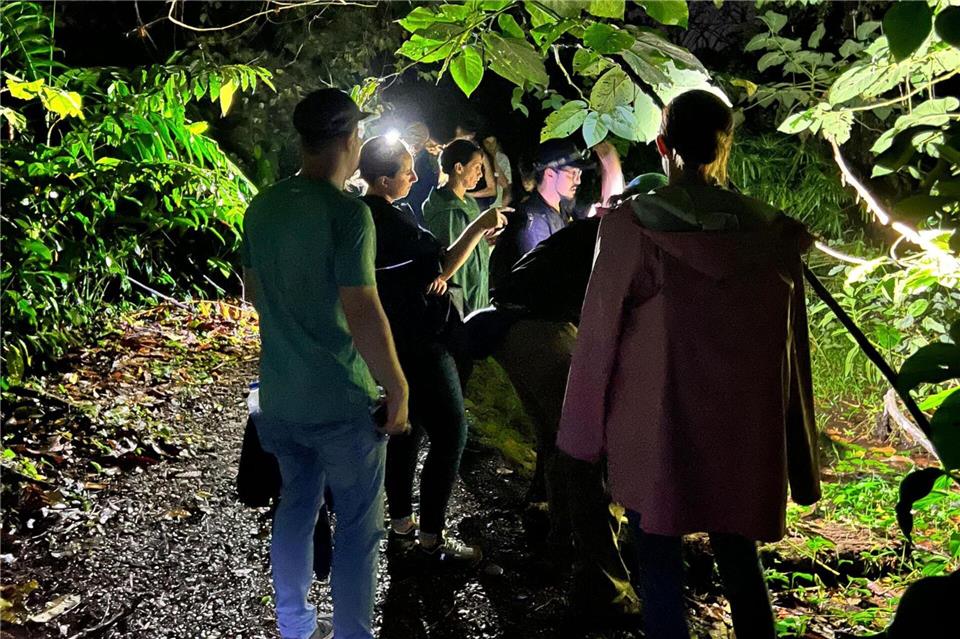 Nachts im Tortuguero-Nationalpark: In der Dunkelheit erwacht der Dschungel zum Leben - die meisten Tiere hier sind nachtaktiv. Costa Rica Tourism Board/dpa-tmn