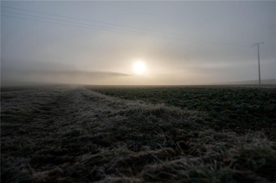 Nachts ist es in Bayern bisweilen noch leicht frostig. Doch tagsüber zeigt sich die Sonne bei frühlingshaften Temperaturen. (Archivbild)Pia Bayer/dpa
