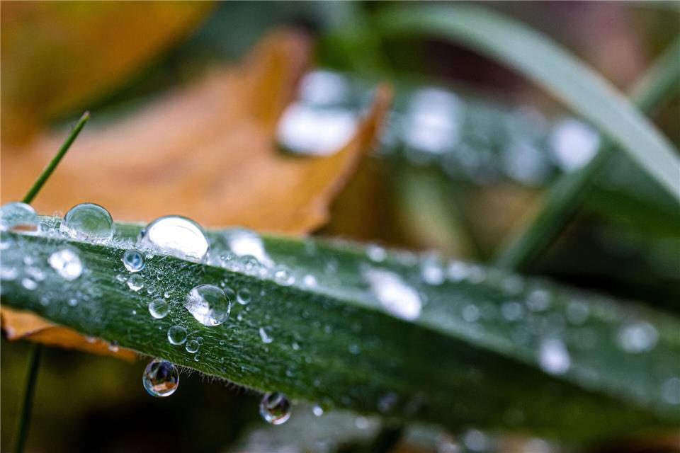 Nächste Woche heißt es: wärmer anziehen.Frank Hammerschmidt/dpa