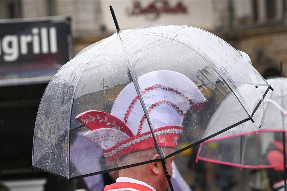 Narrinen und Narren eröffnen in Sachsen-Anhalt die Karnevalssaison. (Archivbild)Heiko Rebsch/dpa