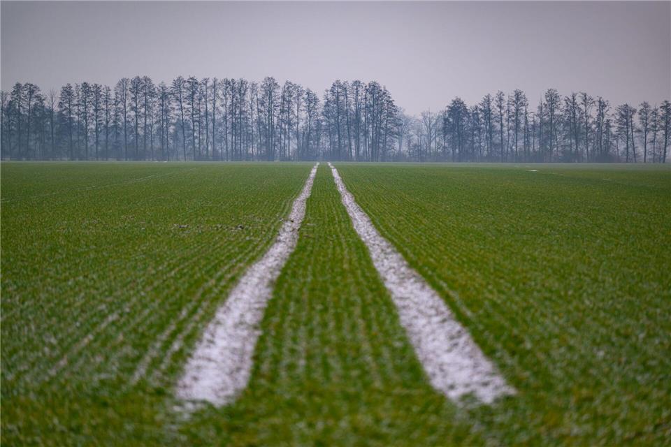 Nasse Böden verzögern die Gülleausbringung in Hessen. (Symbolbild)Patrick Pleul/dpa