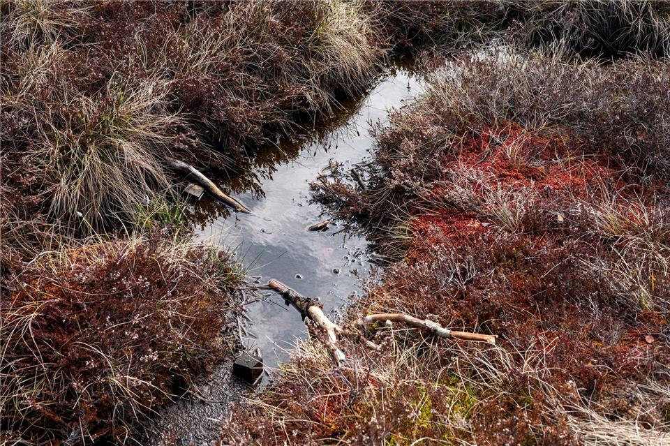 Natur pur, Nebel, Stille – keine Buden, kein „Last Christmas“, nur Landschaft: Die Moore der Rhön sind eine Oase für alle Advents- und Weihnachtsmuffel. (Archivfoto)Daniel Vogl/dpa