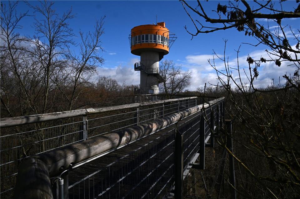 Naturerlebnis auf dem Baumkronenpfad im Nationalpark Hainich. Martin Schutt/dpa