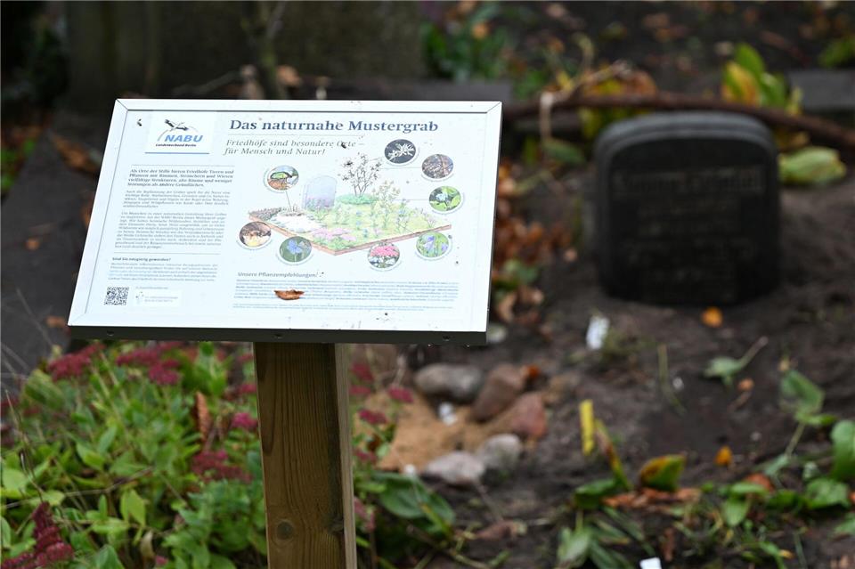 Naturnahes Mustergrab in Berlin.Lilli Förter/dpa
