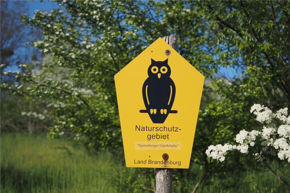 Naturschutzverbände appellieren an SPD und CDU, in ihren Koalitionsgesprächen den Klimaplan nicht zur Disposition zu stellen. (Symbolbild)Soeren Stache/dpa-Zentralbild/dpa