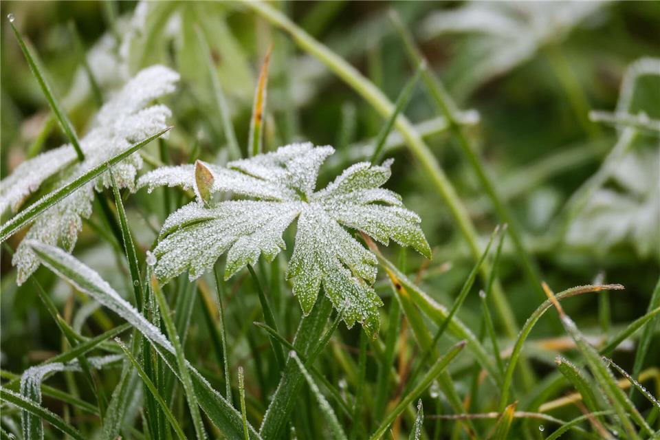Nebel, Raureif und vielleicht auch Schnee in Hessen.Thomas Warnack/dpa