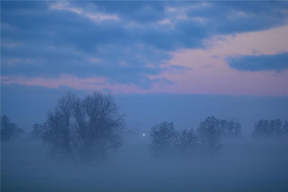 Nebel hüllt Berlin und Brandenburg am Morgen des Nikolaustages ein. (Symbolbild)Patrick Pleul/dpa