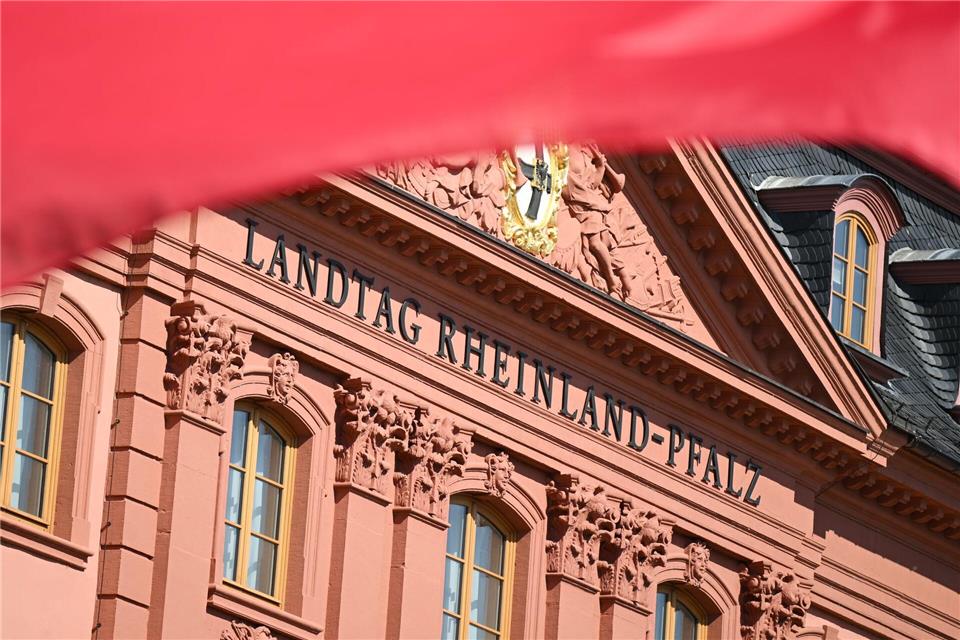 Neben Diskussionen im Landtag braucht es für Hering auch Gespräche mit Menschen vor Ort. (Archivfoto)Arne Dedert/dpa