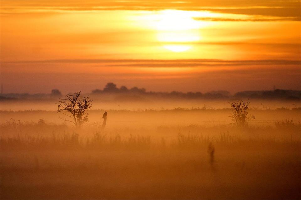 Neben Nebel und Regen gibt es diese Woche auch Sonnenschein. (Archivbild)Sina Schuldt/dpa
