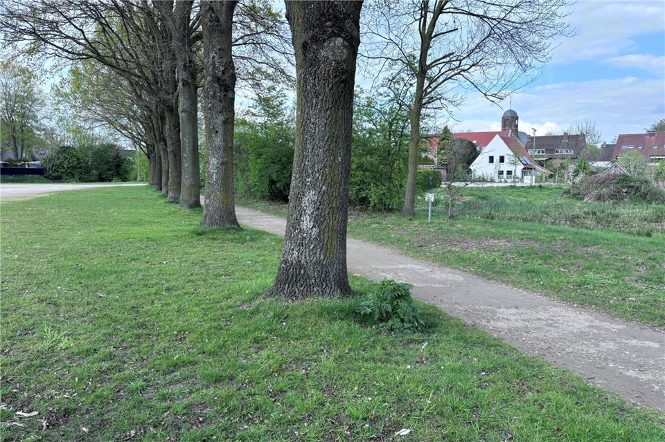Neben dem Biotop des Regenrückhaltebeckens (rechts) und nah am Gemener Ortskern soll im nächsten Jahr ein Stellplatz für zehn Wohnmobile entstehen.