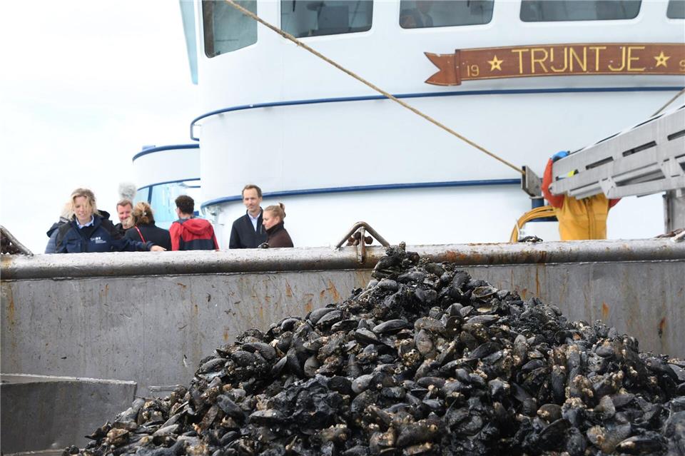 Neben den ökologischen Veränderungen sieht sich die Muschelwirtschaft mit weiteren Herausforderungen konfrontiert - dazu gehören auch steigende Kosten für Energie und Personal.Lea Albert/dpa