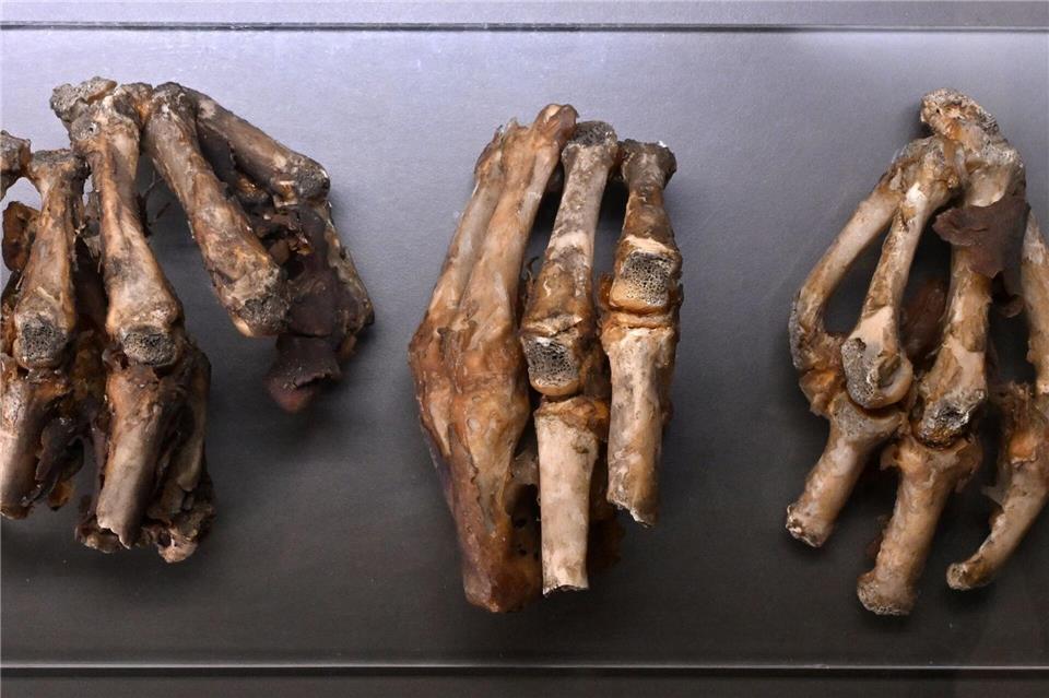 Von Geisterorten bis Mumien – Thüringens schaurige Seite Neben mumifizierten Exponaten gehören in vielen Museen und Burgen auch Folterinstrumente zum Inventar.Martin Schutt/dpa