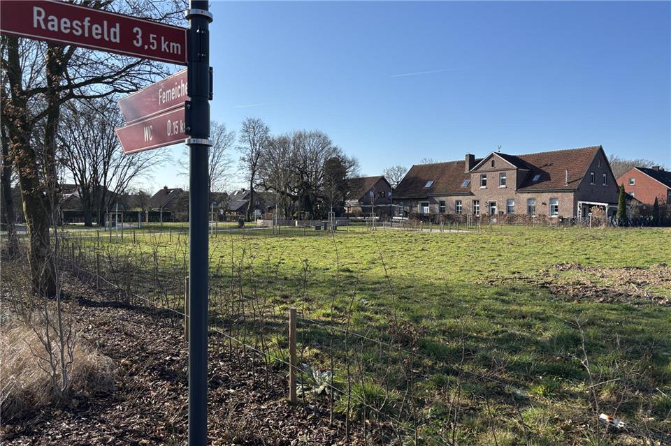 Neue Bauplätze sollen an der Straße Ekhornsloh entstehen. Der Schutz der Femeiche und der Kastanienallee spielen dabei eine besondere Rolle.