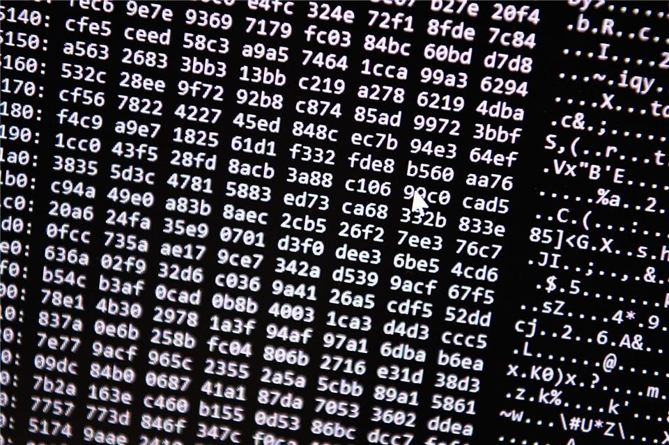 Neue Tools ermöglichten einen Schlag gegen ein Betrugs-Netzwerk im Darknet. (Symbolbild)Nicolas Armer/dpa